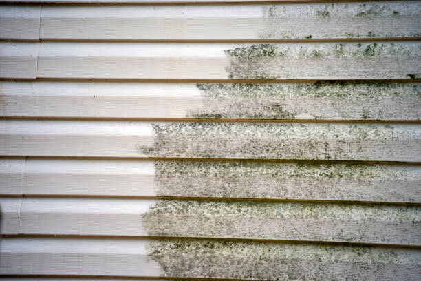 Shed Removal in Cotati, CA